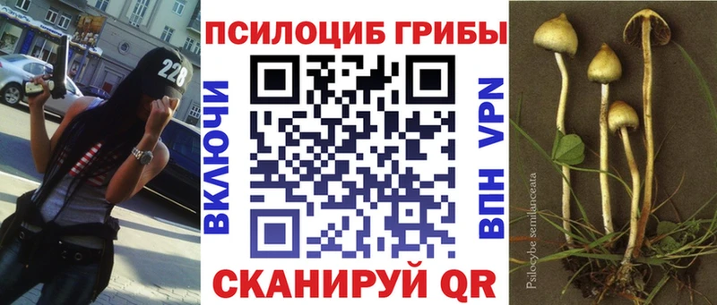 Псилоцибиновые грибы GOLDEN TEACHER  Феодосия 